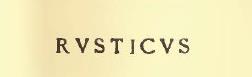 Reported in Notizie degli Scavi, 1911, p.272, were two graffitied inscriptions with names, read by Della Corte, and found traced on the middle column of the west portico.
1.
