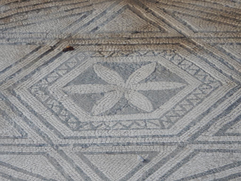 VII.7.5 Pompeii, May 2018. Room (n), detail of flower with six petals set in central emblema. Photo courtesy of Buzz Ferebee.