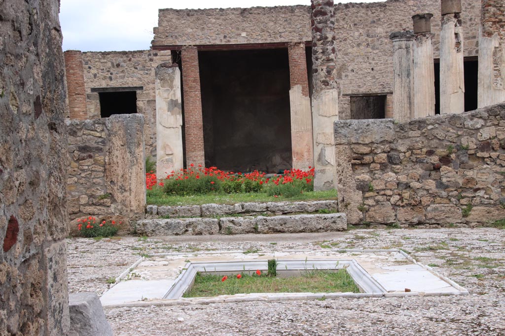VII.7.5 Pompeii. May 2024. Looking north to impluvium in atrium from entrance corridor. Photo courtesy of Klaus Heese.