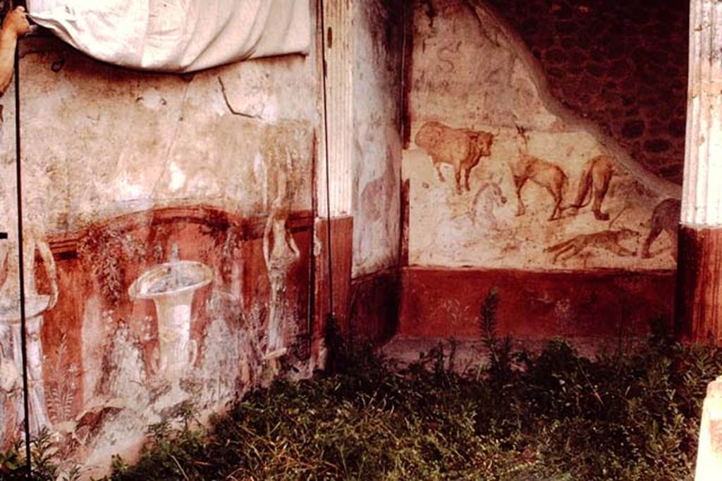 VII.7.10 Pompeii. 1964. West and north wall of peristyle. Photo by Stanley A. Jashemski.
Source: The Wilhelmina and Stanley A. Jashemski archive in the University of Maryland Library, Special Collections (See collection page) and made available under the Creative Commons Attribution-Non Commercial License v.4. See Licence and use details.
J64f1943
