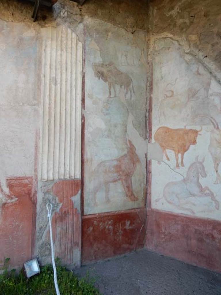 VII.7.10 Pompeii. May 2018. Peristyle, north-west corner. Photo courtesy of Buzz Ferebee. 