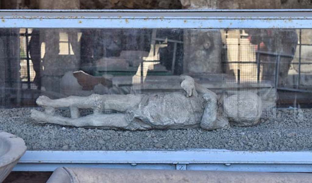 VII.7.29 Pompeii. April 2018. Plaster cast of a child found in a corridor of a lower level of the House of the Golden Bracelet, VI.17.42.
Photo courtesy of Ian Lycett-King. Use is subject to Creative Commons Attribution-NonCommercial License v.4 International.
