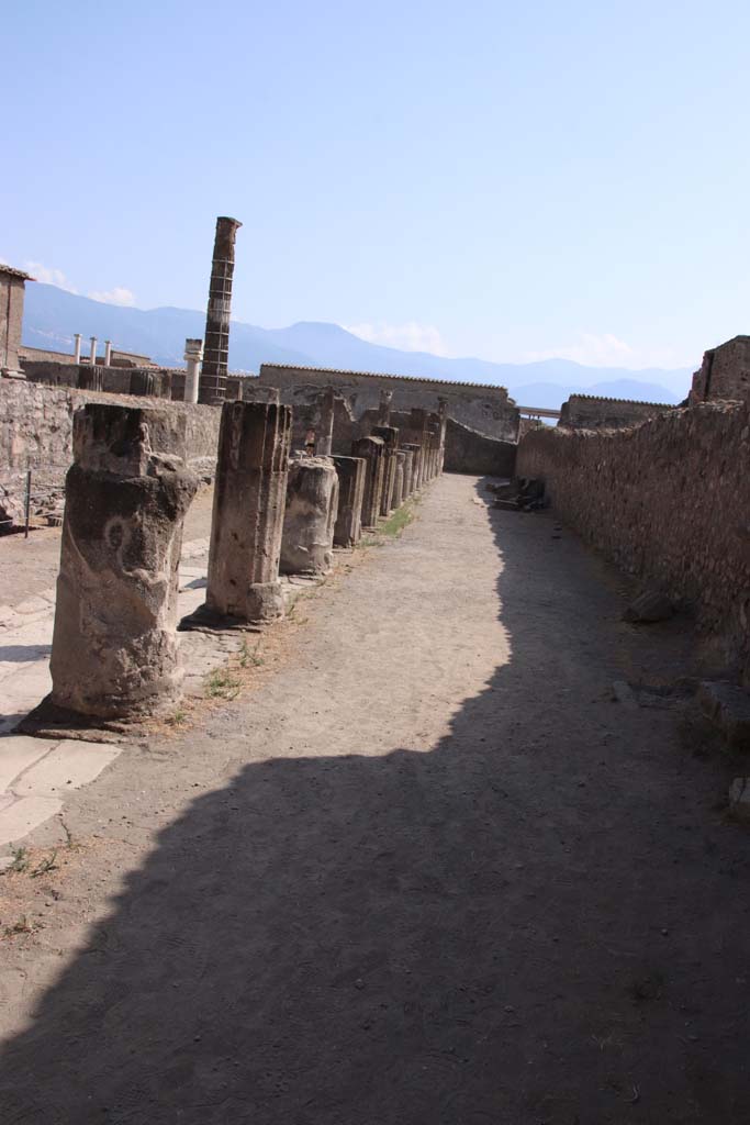 VII.7.32 Pompeii. September 2019. Looking south along west side. Photo courtesy of Klaus Heese.