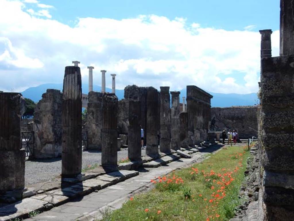 VII.7.32 Pompeii. May 2018. Looking south from north-east corner. Photo courtesy of Buzz Ferebee.