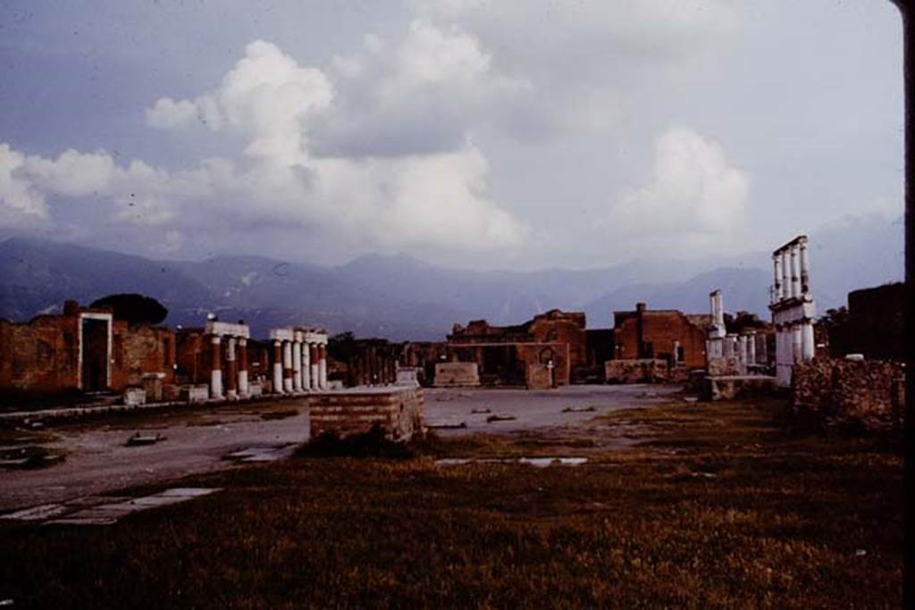 VII.8 Pompeii. 1964.  Looking south. Photo by Stanley A. Jashemski.
Source: The Wilhelmina and Stanley A. Jashemski archive in the University of Maryland Library, Special Collections (See collection page) and made available under the Creative Commons Attribution-Non Commercial License v.4. See Licence and use details. J64f1386

