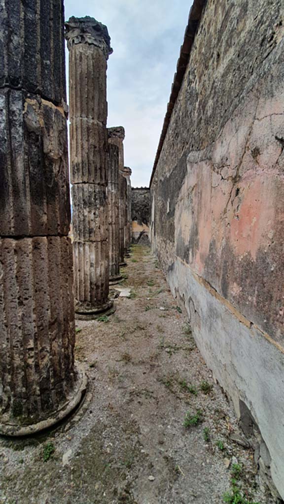 VII.8.1 Pompeii. August 2021. Looking south along west wall in Temple.
Foto Annette Haug, ERC Grant 681269 DÉCOR.
