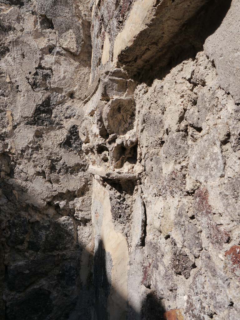 VII.8.01 Pompeii. September 2018. Looking towards north end along east wall.
Foto Anne Kleineberg, ERC Grant 681269 DÉCOR.

