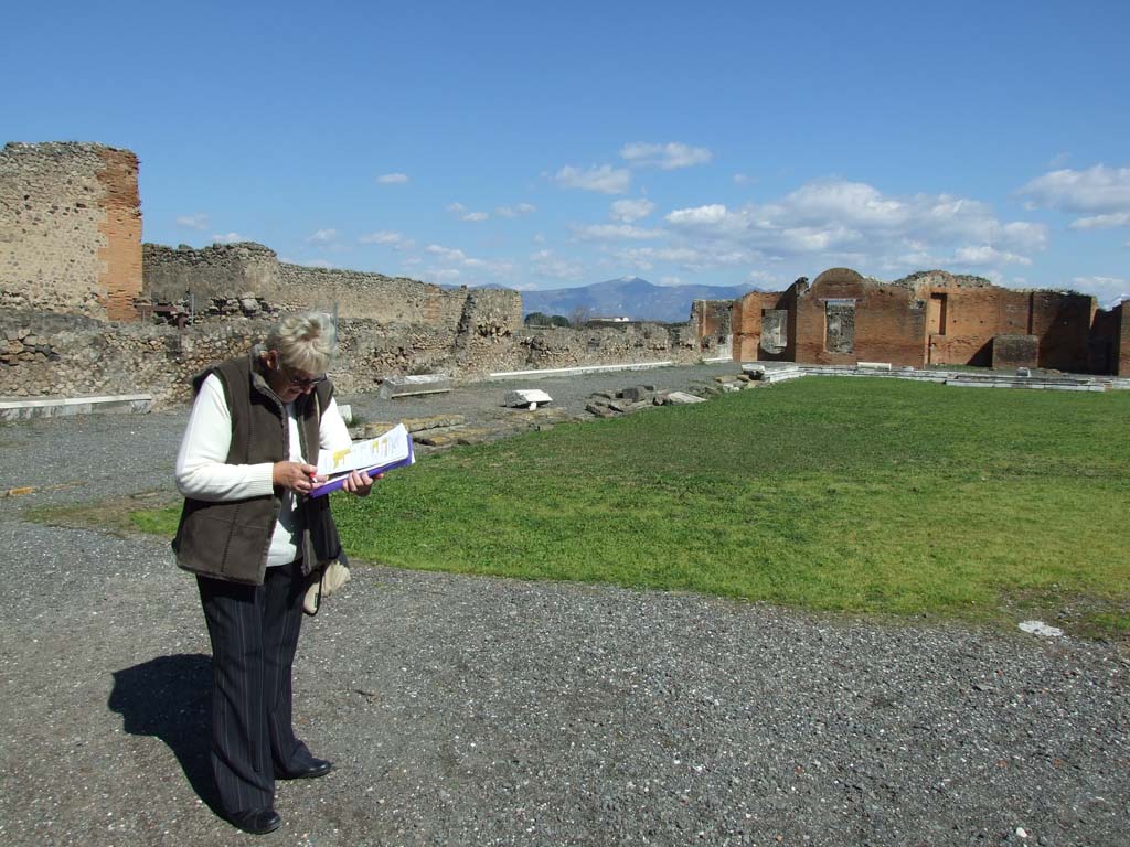 VII.9.1 Pompeii. March 2009. North side of courtyard.