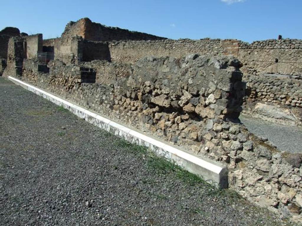 VII.9.1 Pompeii. March 2009. North colonnade 9, with remains of marble veneer.