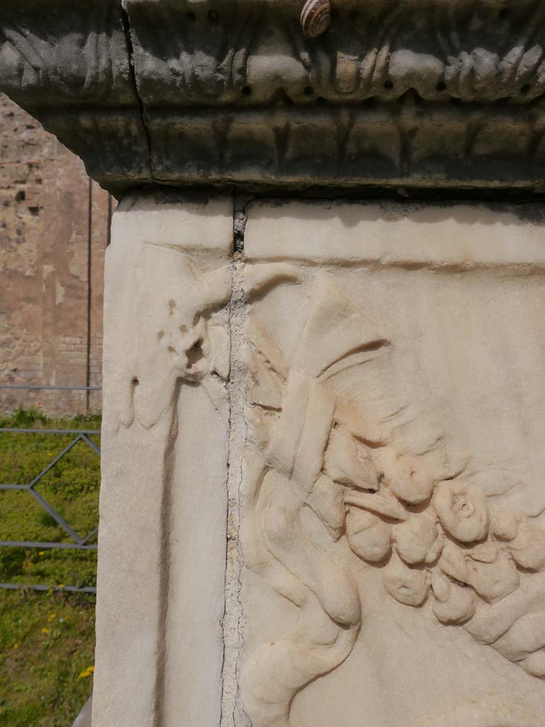 VII.9.2 Pompeii. March 2019. Detail from west end of north side of altar.
Foto Anne Kleineberg, ERC Grant 681269 DÉCOR.
