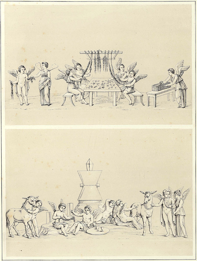 VII.9.7/8 Pompeii. Two drawings by Niccolini. See also the north entrance prothyron at VII.9.19.

According to Niccolini –
“This side (north side) was decorated by other paintings and architectural friezes, which now are entirely lost. 
The same applies to the walls that formed the north entrance of the building, decorated by various paintings and interesting decorations, of which now one can discern some meagre remains. However, since they were drawn as soon as they were discovered, and then published, we can offer a sufficient description of them.
In the painting that was located on the left (Helbig 777), we have the celebration of the Festival of Vestals, that was sacred to Vesta, represented by Cupids and Psyches. At the rear you have a mill: from the middle of the catillus a quadrangular rod came out finishing in a point, which was used to regulate the passage of the grain. Towards the front are various groups of Cupids.”  (p.12).

“In the painting that was located opposite (Helbig 800), Floralia was being celebrated, represented here by means of Cupids and Psyches. 
Sitting on a bench, and around a table, were two Psyches dressed in long tunics, and two Cupids, all of whom were intent on collecting the flowers that were on the table to make garlands.” (p.13).
See Niccolini F, 1854. Le case ed i monumenti di Pompei: Volume Primo. Napoli, Edificio Volgarmente detto Panteon, p. 12, 13, 15, Tav. IV.   


