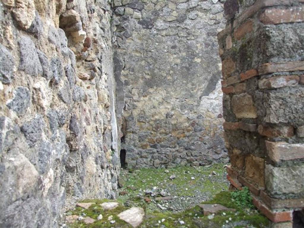 VII.9.29 Pompeii.  March 2009.  Looking through gap in south wall into rear room.