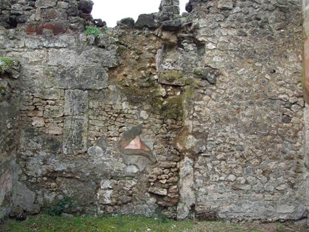 VII.9.47 Pompeii.  March 2009.  Room 8. Cubiculum.  West wall.