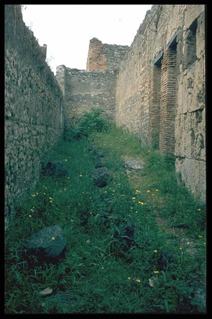 Vicolo degli Scheletri. Looking west towards VII.9.64 and VII.9.65. Photographed 1970-79 by Gnther Einhorn, picture courtesy of his son Ralf Einhorn.