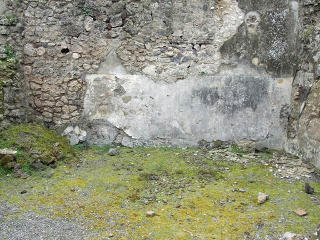 VII.10.12 Pompeii.  March 2009. South wall of atrium.