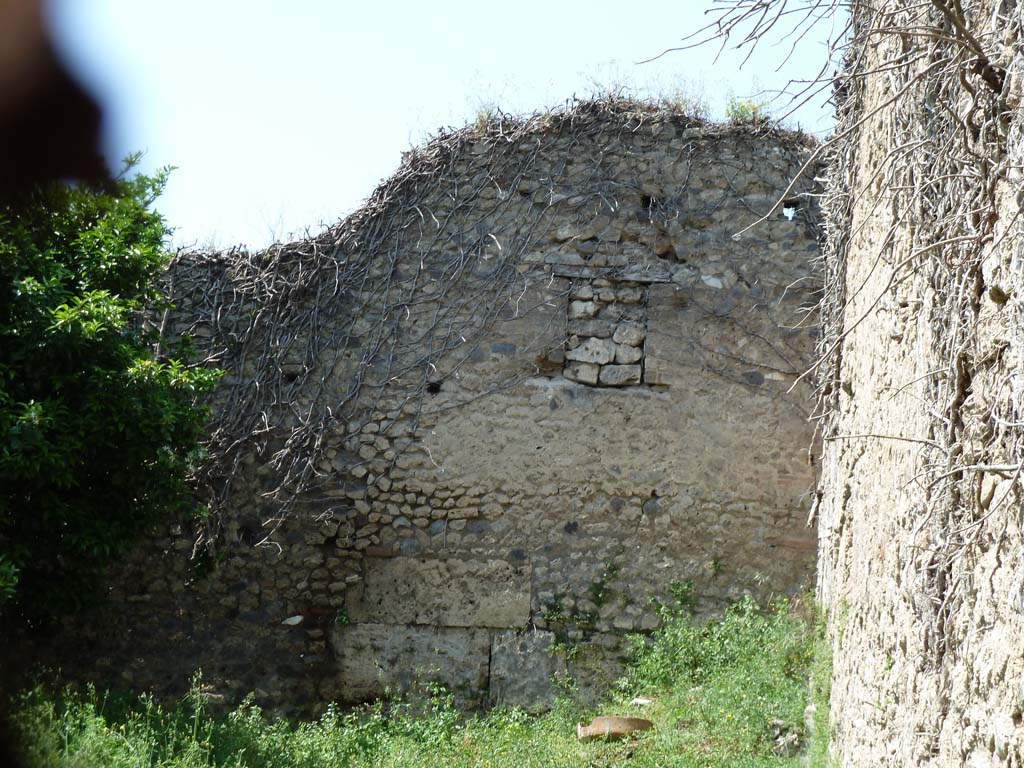 VII.10.14 Pompeii. May 2010. 
Looking west through entrance doorway to north-west corner, with basin and overgrown steps to doorway to house at VII.10.3.
In the west wall, the blocked window giving light to the small storeroom in room 17 of VII.10.3, can be seen.
