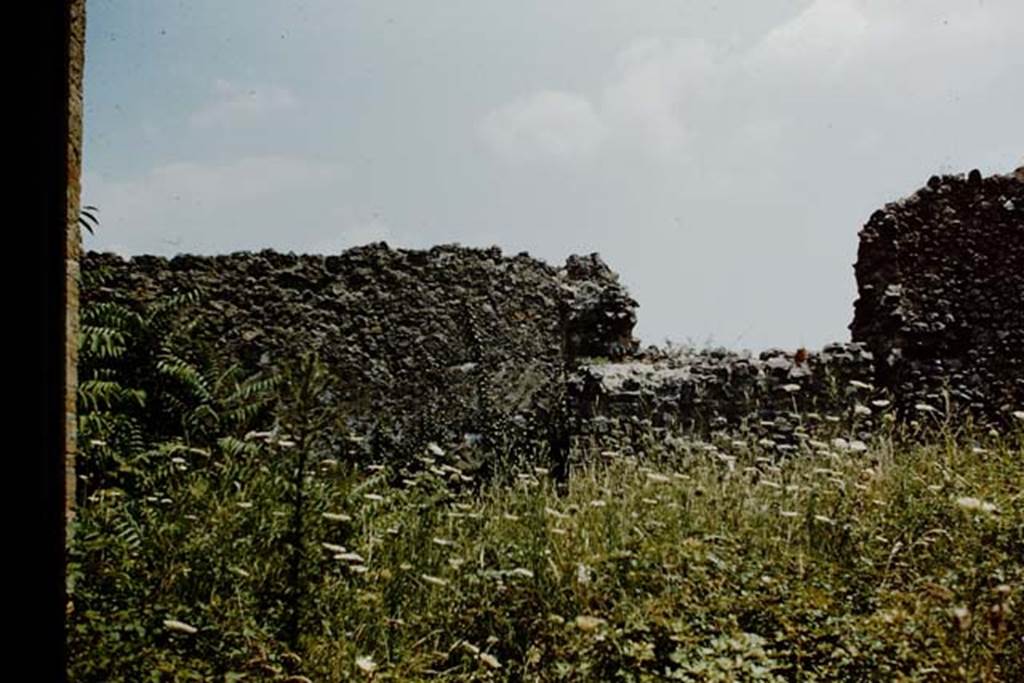 VII.11.1 Pompeii. 1959. Looking towards east wall. Photo by Stanley A. Jashemski.
Source: The Wilhelmina and Stanley A. Jashemski archive in the University of Maryland Library, Special Collections (See collection page) and made available under the Creative Commons Attribution-Non Commercial License v.4. See Licence and use details. J59f0104      
