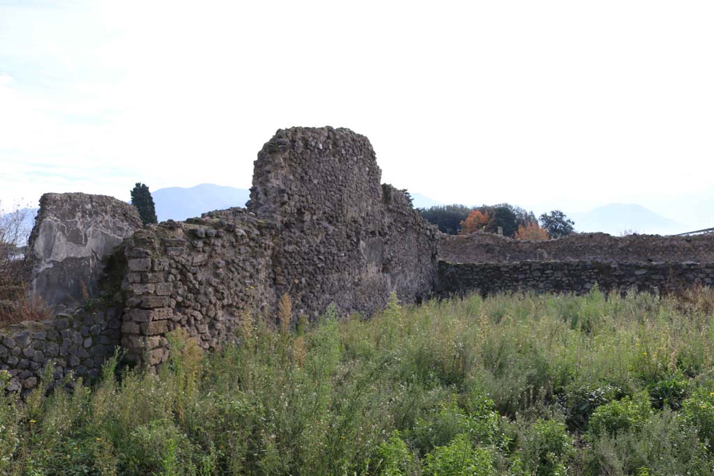 VII.11.1 Pompeii. December 2018. Looking towards south-east corner. Photo courtesy of Aude Durand.