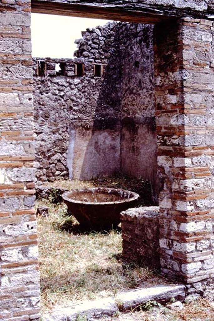 VII.11.5 Pompeii. 1972. Looking south-east through entrance doorway. Photo by Stanley A. Jashemski. 
Source: The Wilhelmina and Stanley A. Jashemski archive in the University of Maryland Library, Special Collections (See collection page) and made available under the Creative Commons Attribution-Non Commercial License v.4. See Licence and use details. J72f0322
