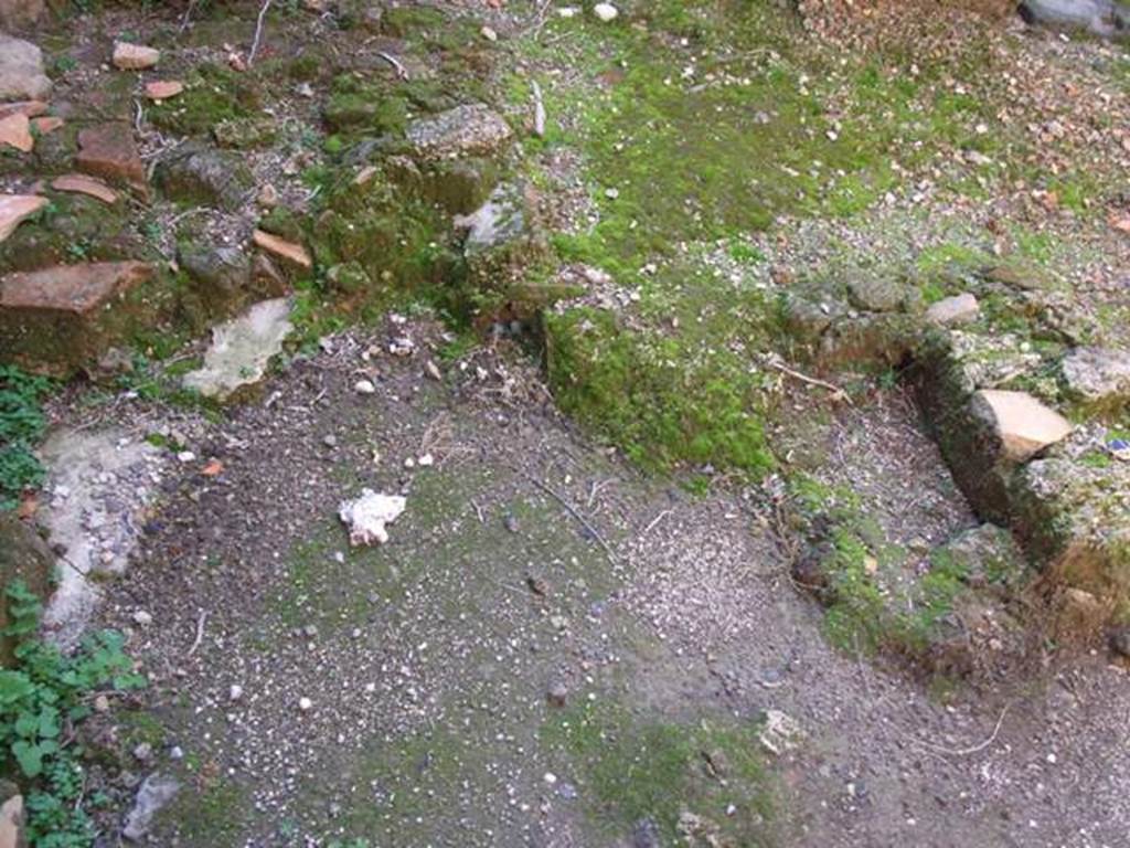 VII.11.7 Pompeii. December 2007. Floor by north wall near VII.11.8.