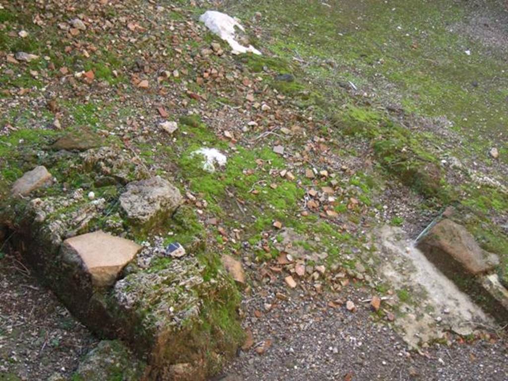 VII.11.7 Pompeii. December 2007. Floor by north wall near east side of VII.11.7 entrance.