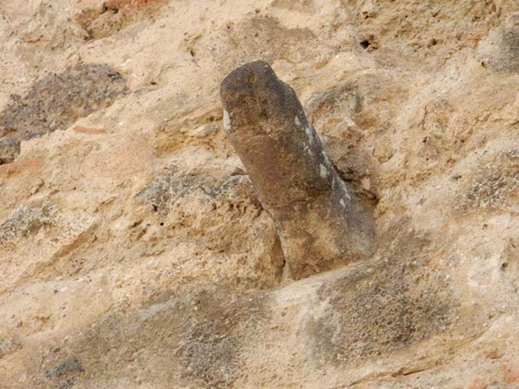 VII.11.12 Pompeii. May 2016. Detail of phallus on outside wall above doorway. Photo courtesy of Buzz Ferebee.