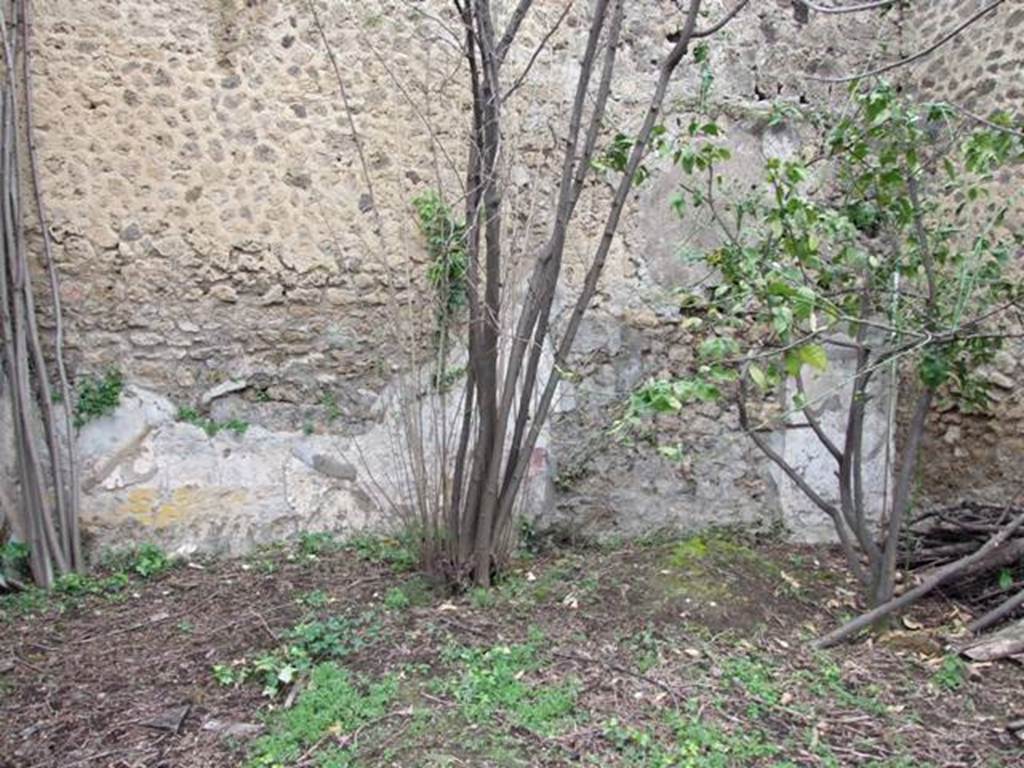 VII.11.14 Pompeii.  March 2009. Garden “C”, North wall with remains of painted decoration.