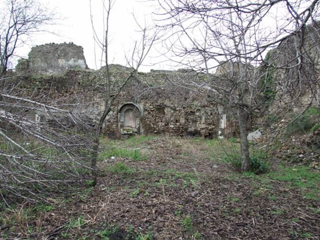 VII.11.14 Pompeii.  March 2009. Garden “C”, West wall.