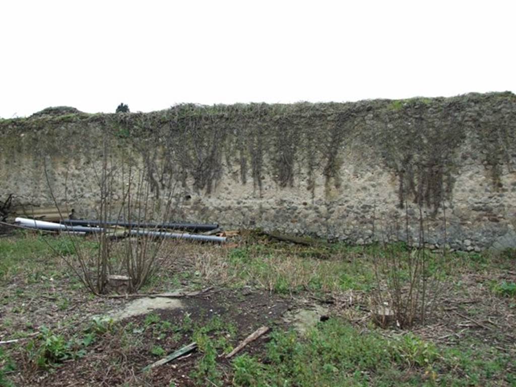 VII.11.14 Pompeii.  March 2009. Garden “C”, South wall.