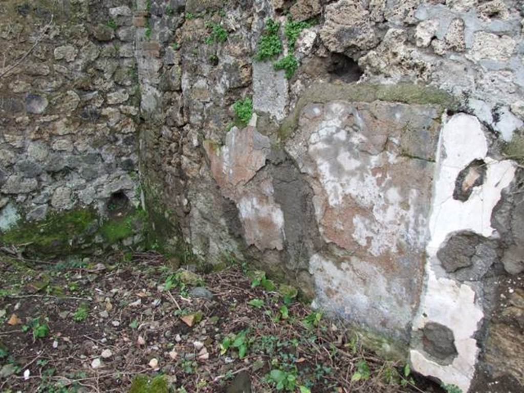 VII.11.14 Pompeii.  March 2009. Garden “C”,  South west corner.