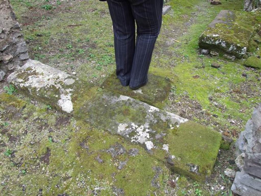 VII.11.14 Pompeii.  March 2009. Step to entrance passageway in Room 1.