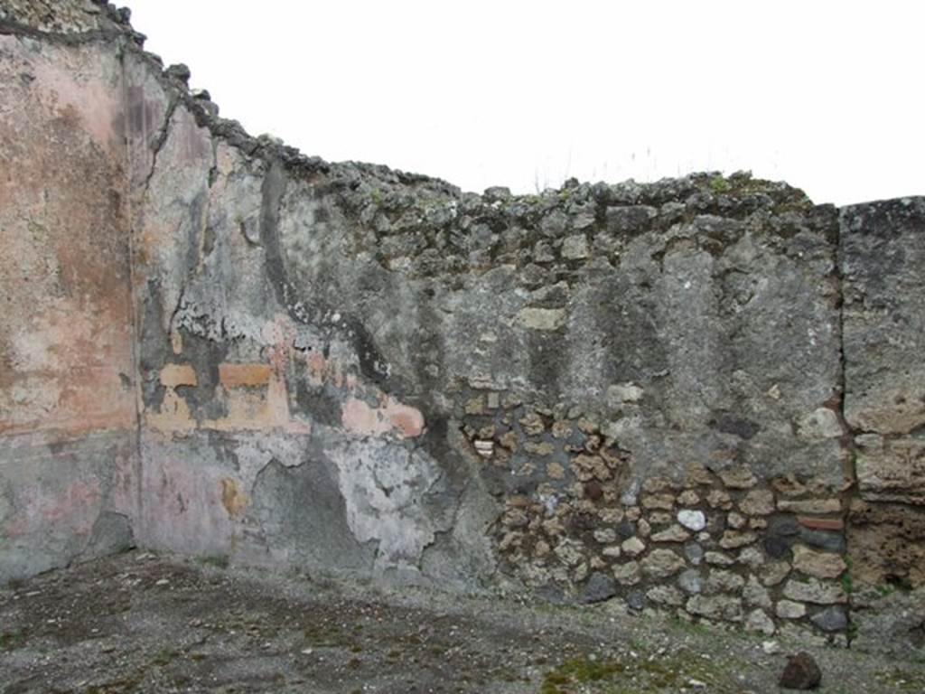 VII.14.5 Pompeii.  March 2009. Room 10. East wall.