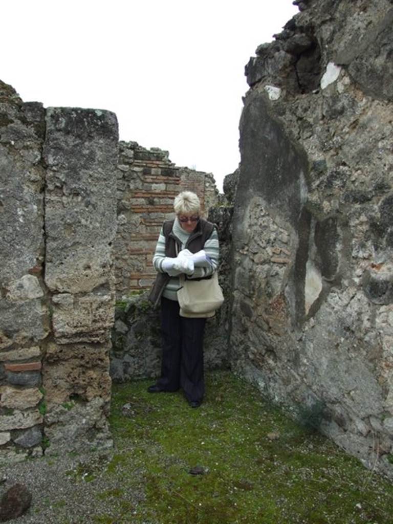 VII.14.5 Pompeii.  March 2009.  Room 10.  South east corner.