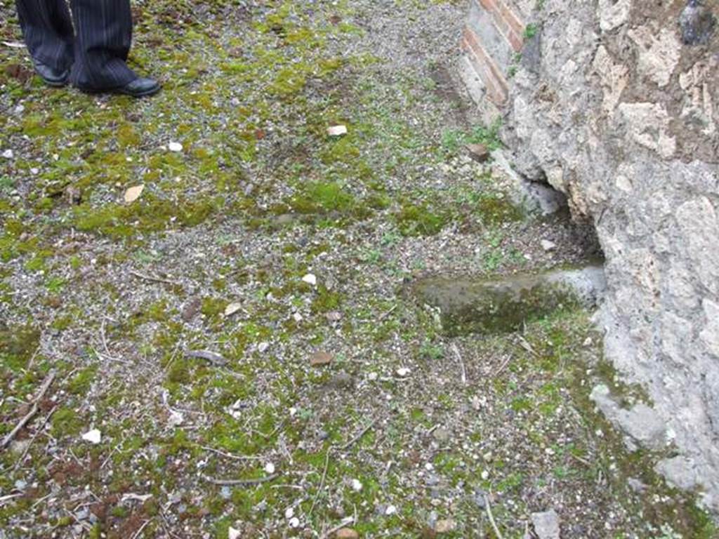 VII.14.5 Pompeii.  March 2009. Room 9.  South Portico.  Gutter under peristyle wall.