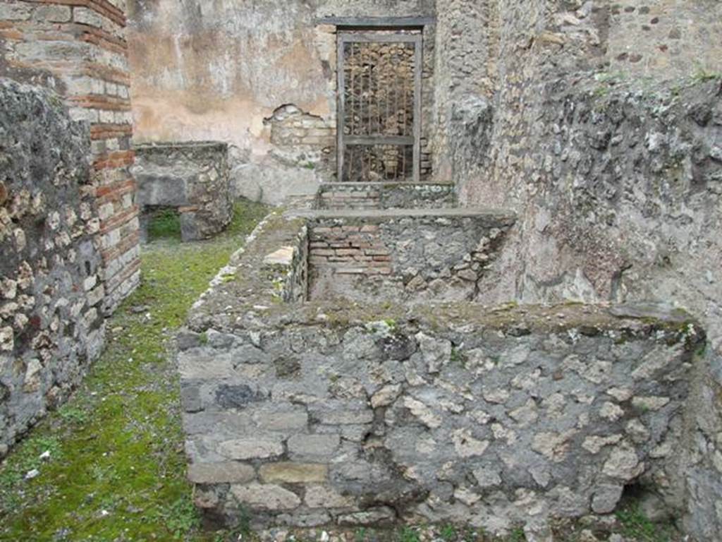 VII.14.5 Pompeii.  March 2009. Room 22. Large Basin.