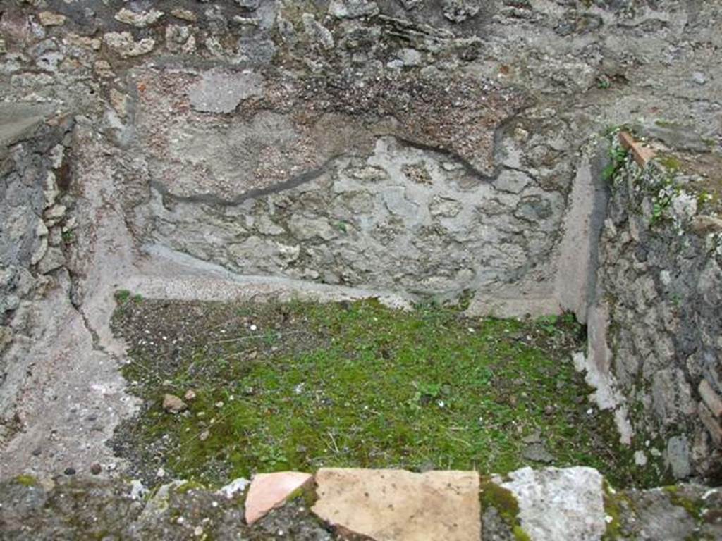 VII.14.5 Pompeii.  March 2009.  Room 22. Interior of Large Basin