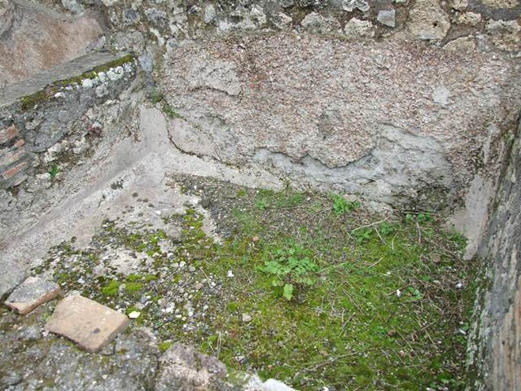 VII.14.5 Pompeii.  March 2009.  Room 22. Interior of Large Basin