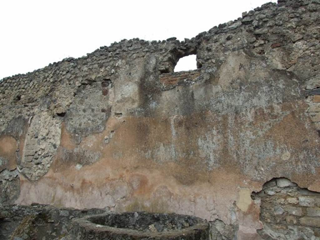 VII.14.5 Pompeii.  March 2009. Room 23.  North wall.