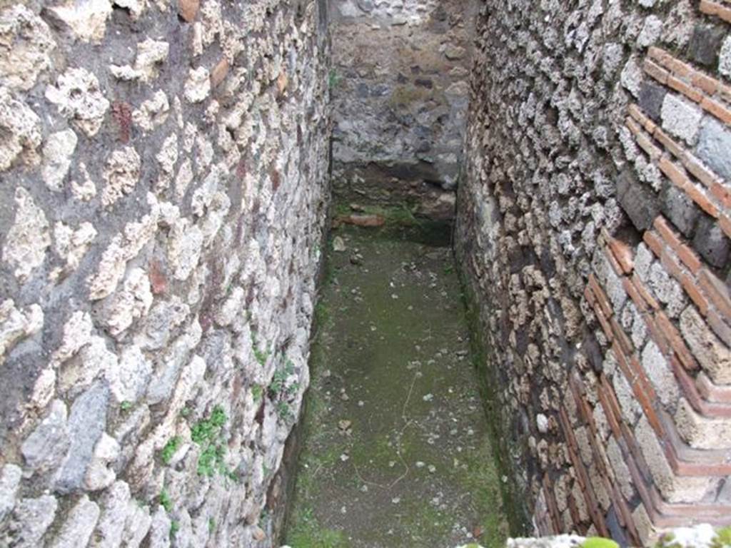 VII.14.9 Pompeii.  March 2009.  Room 8   Looking north.