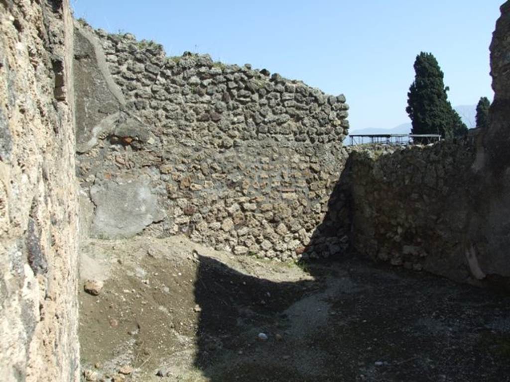 VII.14.9 Pompeii.  March 2009.  Room 17.  Oecus. Looking east.