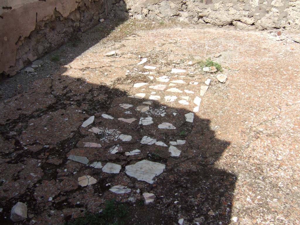 VII.15.5 Pompeii. September 2005. Floor in triclinium, looking north.