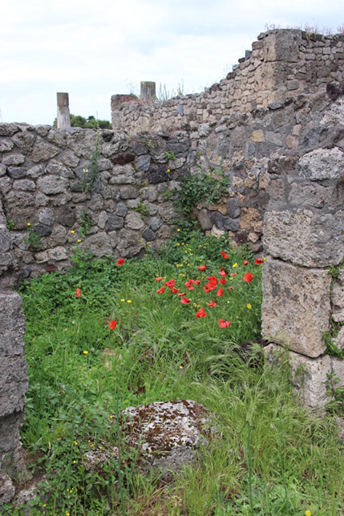 VII.16.12 Pompeii. May 2024. Room 25, west wall and north-west corner. Photo courtesy of Klaus Heese.