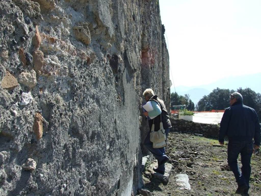 VII.16.13 Pompeii.  March 2009. Area 44, looking south towards area 45 and doorway to room 47 on left.