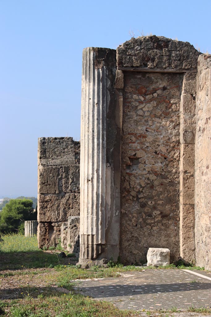 VII.16.13 Pompeii. October 2023. 
Column in north-west corner of atrium, at east end of north wall of tablinum 9.
Photo courtesy of Klaus Heese.
