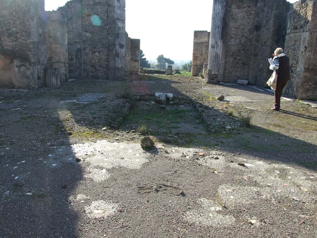 VII.16.13 Pompeii. December 2007. Room 2, impluvium in atrium.