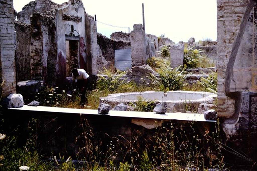 VII.16.22 Pompeii. 1964. Looking south from the large room to the courtyard garden, on the street level garden (top floor). Photo by Stanley A. Jashemski. 
Source: The Wilhelmina and Stanley A. Jashemski archive in the University of Maryland Library, Special Collections (See collection page) and made available under the Creative Commons Attribution-Non Commercial License v.4. See Licence and use details.
J64f2023
