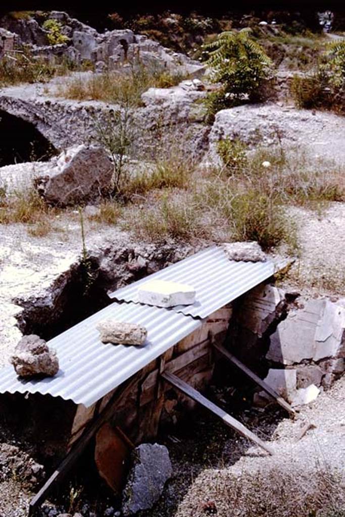 VII.16.22 Pompeii. 1964. Looking across the top (street level) floor, and down into the floor below.  Photo by Stanley A. Jashemski.
Source: The Wilhelmina and Stanley A. Jashemski archive in the University of Maryland Library, Special Collections (See collection page) and made available under the Creative Commons Attribution-Non Commercial License v.4. See Licence and use details.
J64f2027

