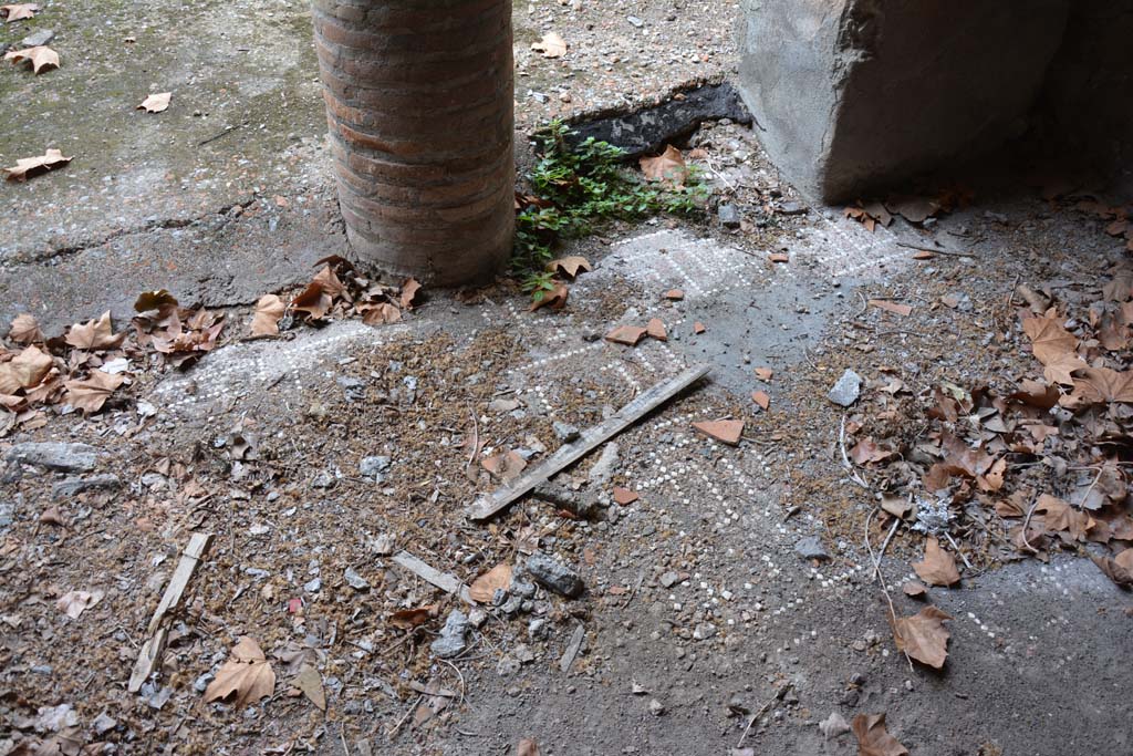 VII.16.17-22 Pompeii. October 2018. Peristyle 14, detail of flooring.
Foto Annette Haug, ERC Grant 681269 DCOR.
