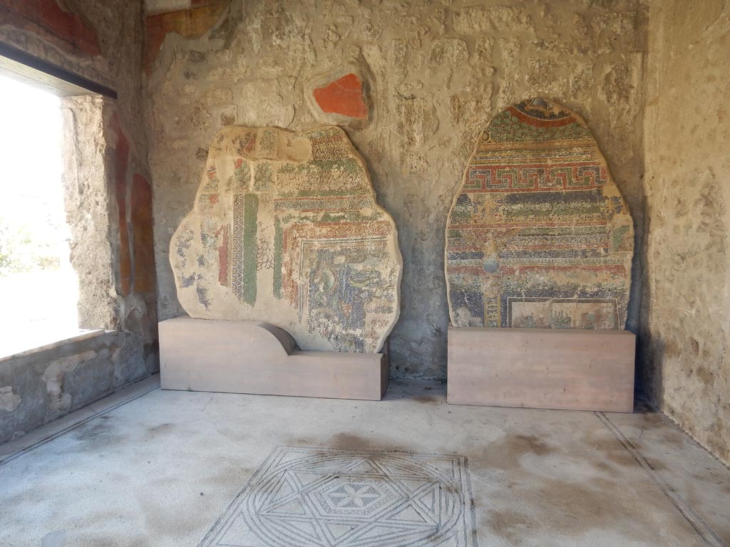 VII.16.a Pompeii. May 2018. 
Two mosaic fragments belonging to the suburban baths now in VII.7.5. Photo courtesy of Buzz Ferebee.
According to the Soprintendenza web site, these were discovered during the 1959 excavation. 
They were part of a barrel vault of an area (m 11,40 x 7,60), which is almost completely occupied by a swimming pool warmed up through a ‘samovar’ system (and this is the only case known in Pompeii so far). 
The rare mosaic, which is stylistically close to Fourth Style paintings, was made after the AD 62 earthquake. 
See www.pompeiisites.org 
