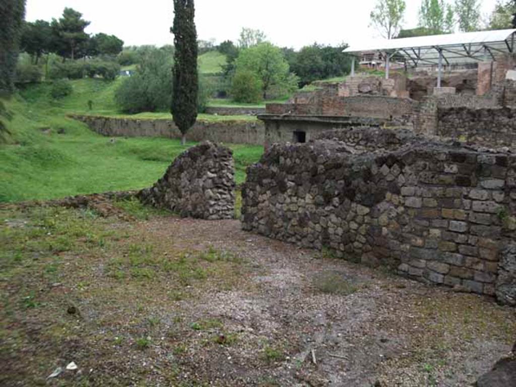 VII.16.a Pompeii. May 2010. Looking north from lower area.